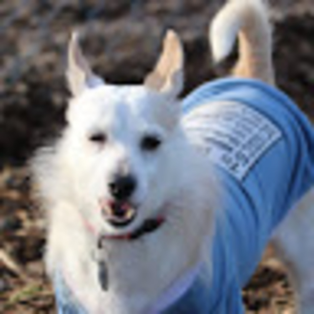 Meet your Posher, Ah